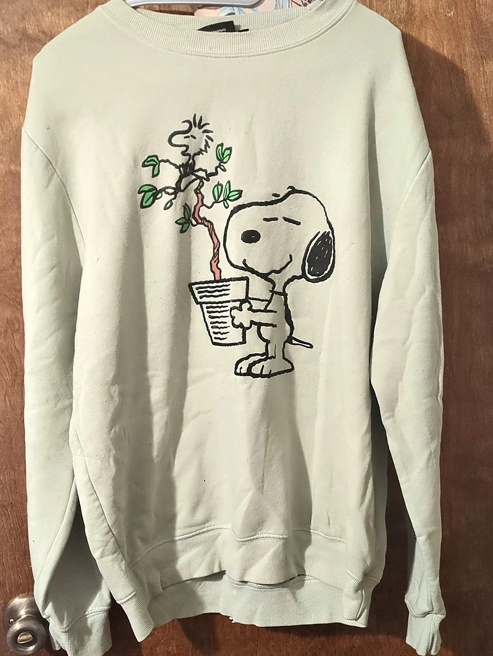 Peanuts Snoopy Graphic Sweatshirt in Green Size Large Like New